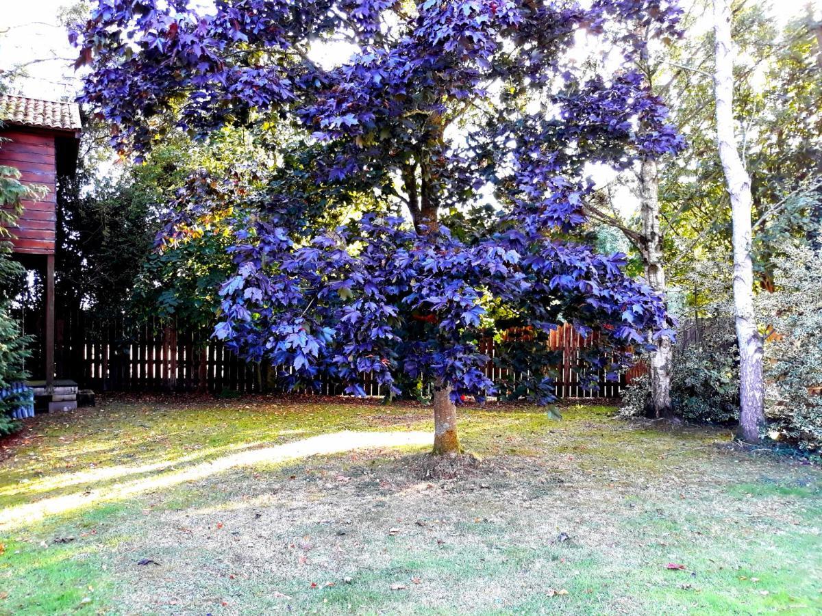 Country Home Tara Rathfeigh Esterno foto